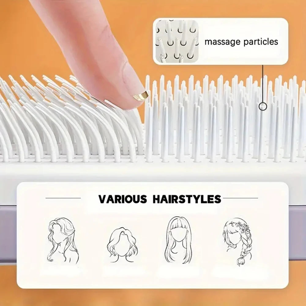 Sanify Hair Brush